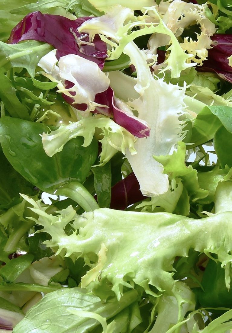 Werbefotografie Food